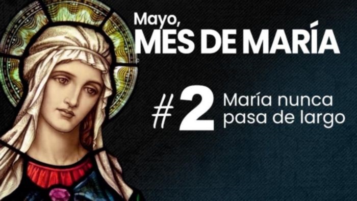 Mayo-mes-virgen-maria-31-dias-reflexion-un-gran-susto-dia-2