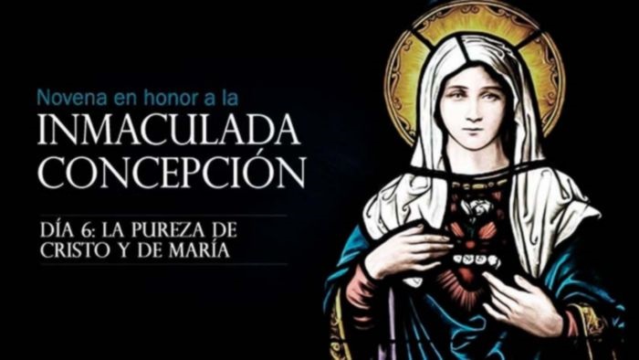 novena-inmaculada-concepcion-dia-6-pureza-cristo-maria